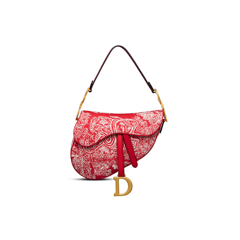 Dior SADDLE BAG