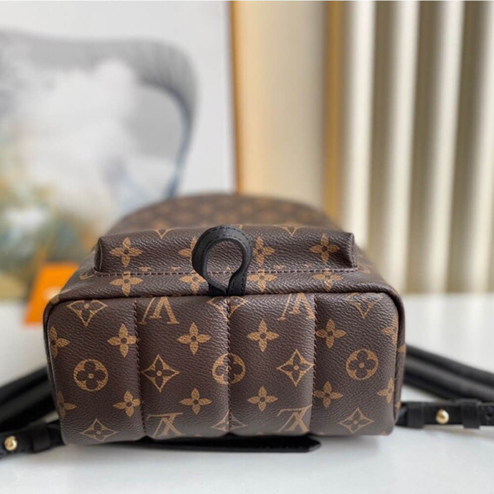 Louis Vuitton PALM SPRINGS PM