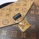 Louis Vuitton POCHETTE METIS